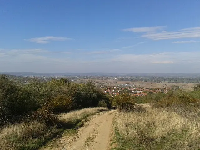 Jagodina