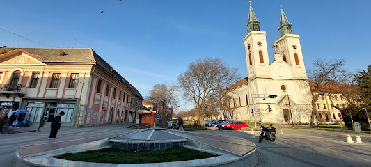 Sremska Mitrovica